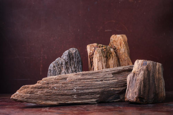 Petrified Wood Meaning And Spiritual Properties