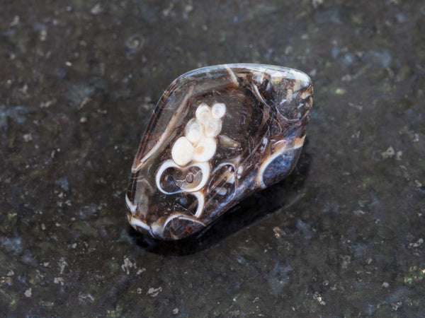 Turritella Agate Meaning And Spiritual Properties