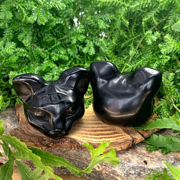 Crystal Animal Spirit Totems: Black Protection Agate Third Eye Cat