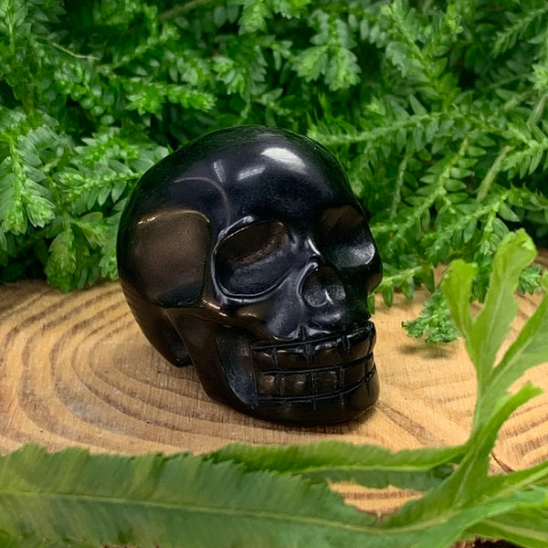 Crystal Spirit Totems: Black Protection Agate Skull