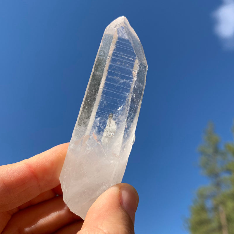 Lemurian Seed Crystal "Memory Quartz"