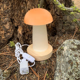 Crystal Mood Light (Selenite Mushroom Lamp)