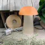 Crystal Mood Light (Selenite Mushroom Lamp)