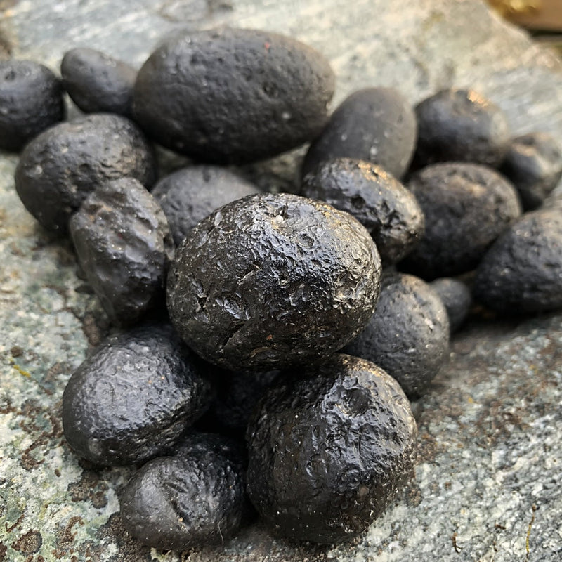 Tektite Specimen - The Only Crystal on the Planet that can Absorb Dark Energy - rawstone