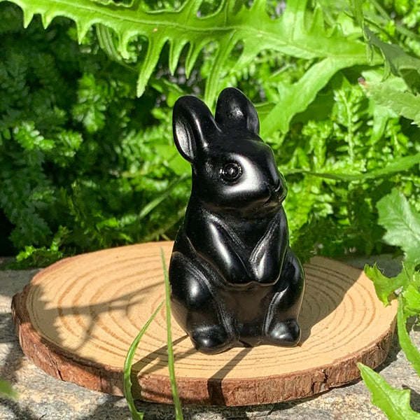 Crystal Animal Spirit Totems: Black Protection Agate Rabbit