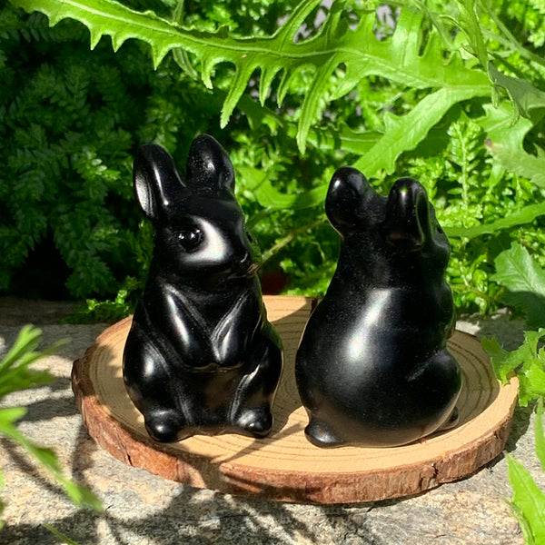 Crystal Animal Spirit Totems: Black Protection Agate Rabbit