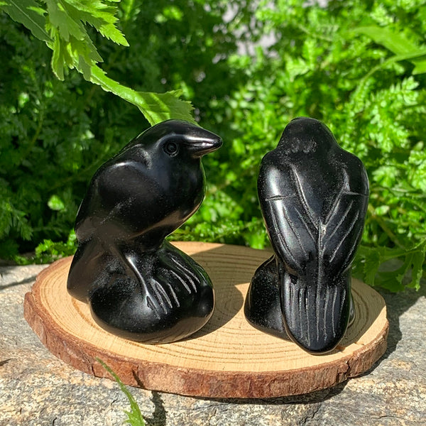 Crystal Animal Spirit Totems: Black Protection Agate Raven