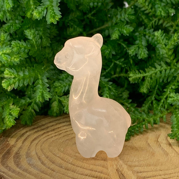 Crystal Animal Spirit Totems: Rose Quartz Llama