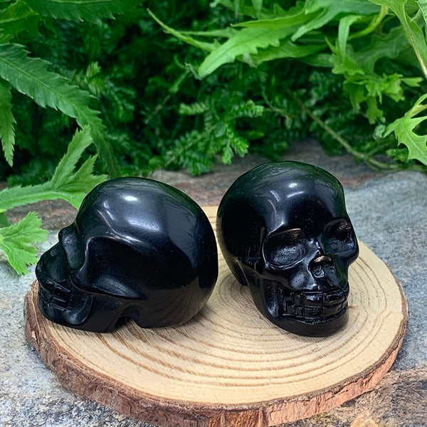 Crystal Spirit Totems: Black Protection Agate Skull