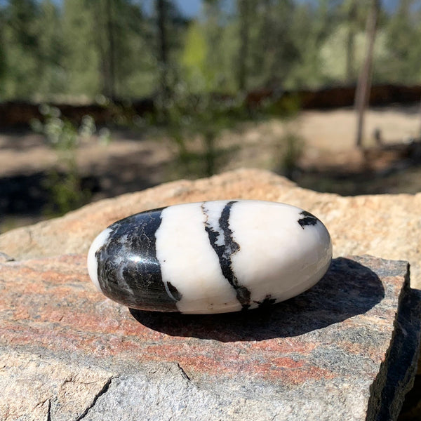 FREE GIVEAWAY! Zebra Jasper Palmstone (Just Pay Cost of Shipping)